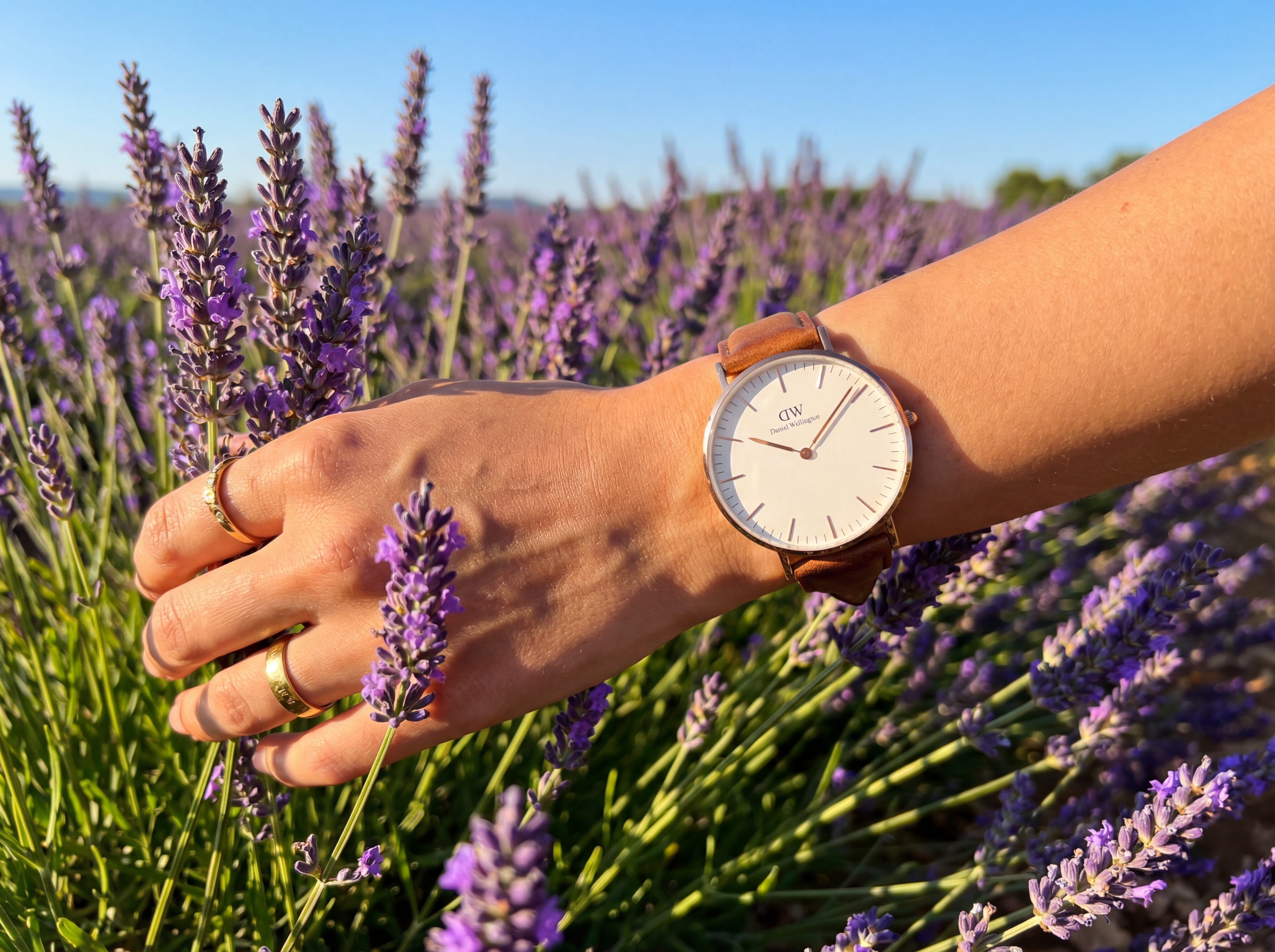 Montre Daniel Wellington Mesh Femme : Le Guide Complet du Bracelet Maille Milan