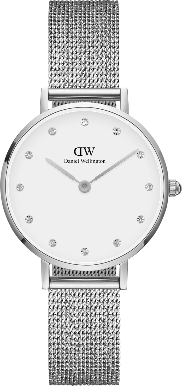 Montre Daniel Wellington DW00100602 Petite Lumine Acier 28mm