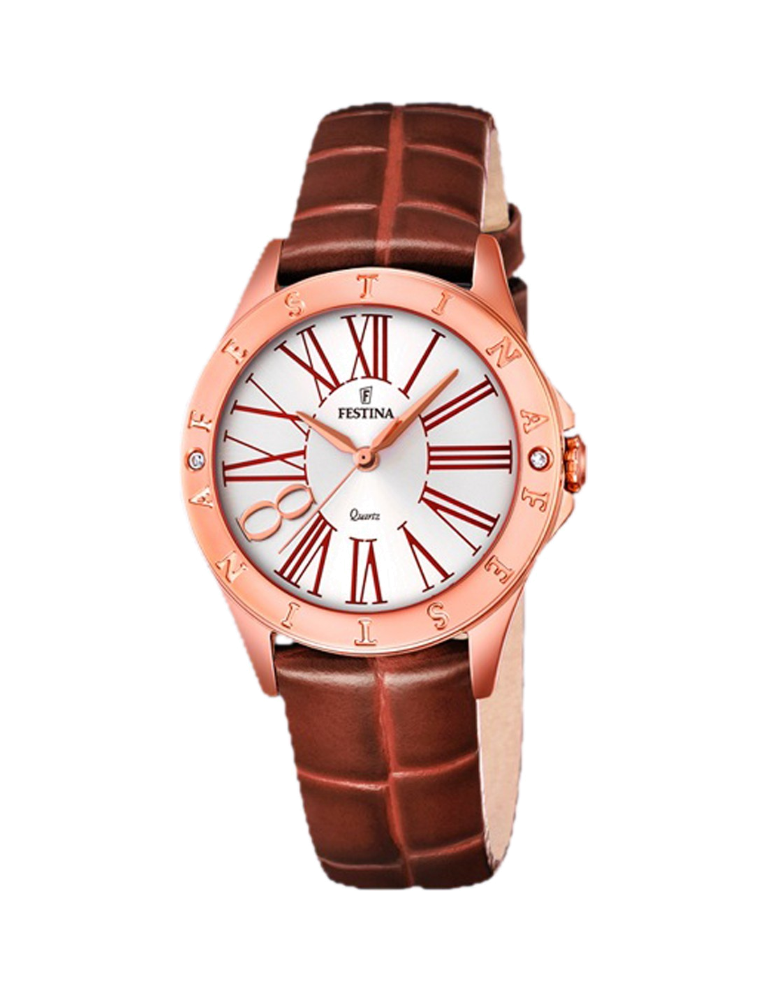 Montre Femme Festina Boyfriend F16930/3 Marron