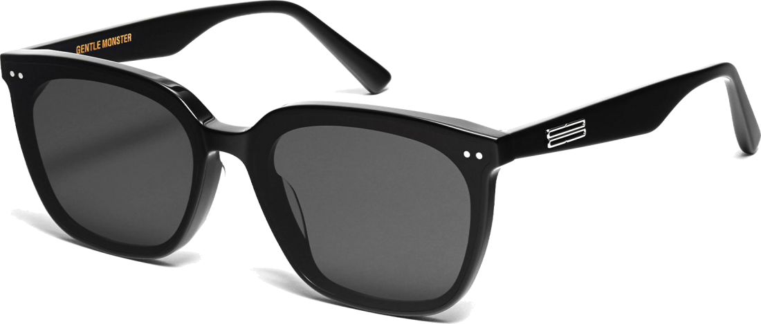 Lunettes de soleil Gentle Monster Heizer 01