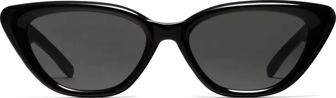 Lunettes de soleil Gentle Monster BOLD SOUNDNET01 Noir Femme vue 2