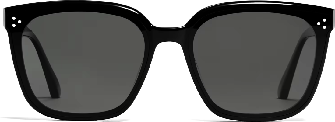 Lunettes de soleil Gentle Monster Palette 01 - Monture noire unisexe vue 2