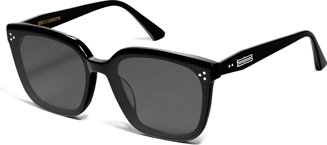 Lunettes de soleil Gentle Monster Palette 01