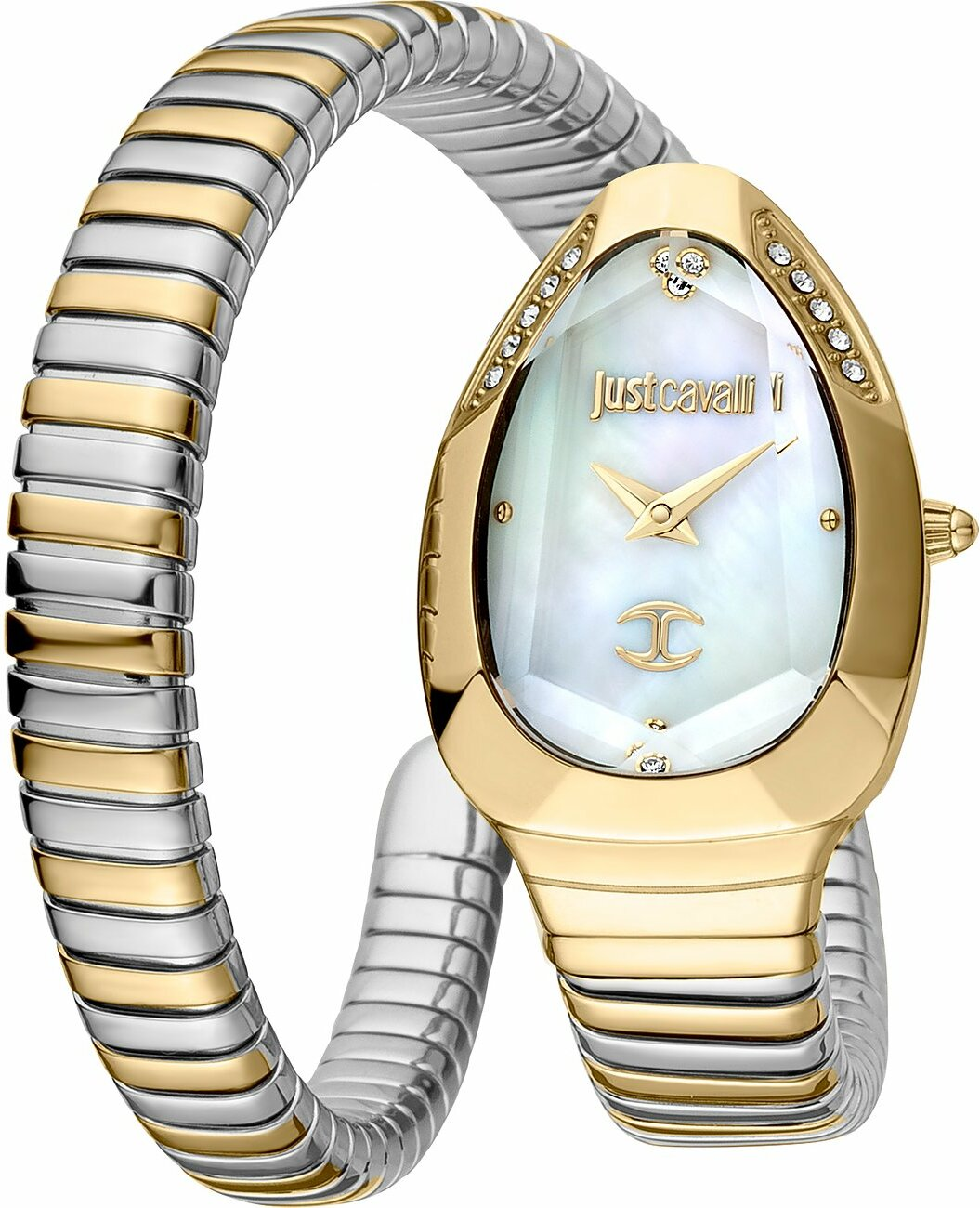 Montre Just Cavalli JC1L208M0065 Bicolore Cadran Nacre