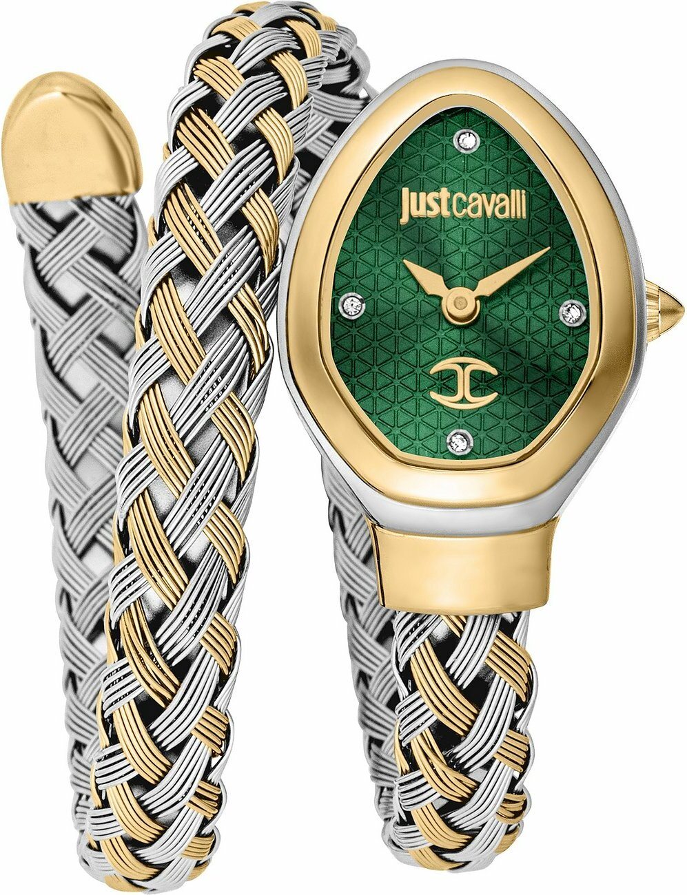 Montre Just Cavalli JC1L264M0065 Acier Bicolore et Cadran Vert