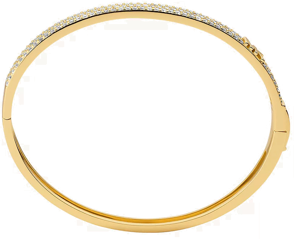 Bracelet Jonc Michael Kors MKC1551AN710 en argent plaqué or 14K pour femme vue 2