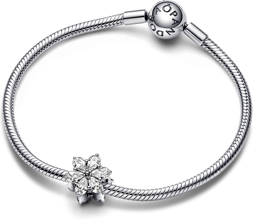 Charm Pandora Timeless Herbier Scintillant 792623C01 en Argent 925/1000 pour Femme vue 3