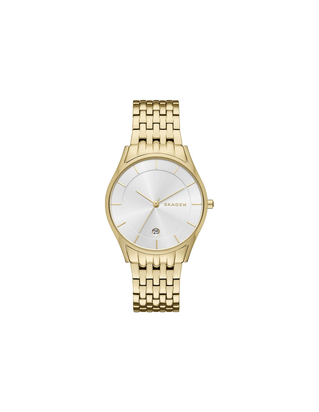 Montre Femme Skagen Holst SKW2389 Or