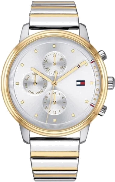 Montre Tommy Hilfiger 1781908 en Acier Bicolore Blake